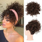 🎁2026 New Arrivals 60% OFF💥Short, curly hairpiece – Chignon with elastic drawstring
