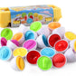 ⏳🔥LIMITED-TIME 50% OFF! ⏰Cognitive Development Geometric Eggs ( 12 Eggs One Set )