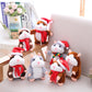 ⏳🔥LIMITED-TIME 50% OFF! ⏰🎁 Talking Hamster Plush – Repeats sounds & cute interactive fun 🐹✨