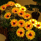 📢📢44% OFF !! ⏰🌻 Realistic & Weatherproof | Solar Sunflower | IP65 Outdoor Decor