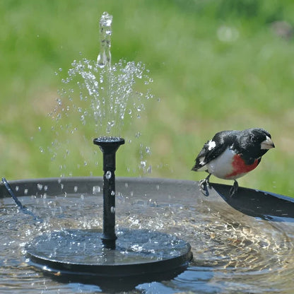 🌞New arrival 60% OFF!⛲Compact Solar Bird Fountain Pump – Keep Your Garden Alive!🏖️