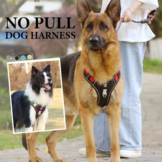 ⏳🔥LIMITED-TIME 50% OFF! ⏰🐶 No Pull Dog Harness With Leash & Collar LED - Walks Just Got Easier ✨