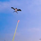 ⏳Limited time – 50% OFF⏰🔥Handheld Fishing Rod Kite Toy