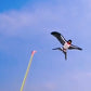 ⏳Limited time – 50% OFF⏰🔥Handheld Fishing Rod Kite Toy