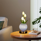 🌷💡 Elegant Tulip Bouquet Night Light – 50% OFF! Soft glow, realistic flowers, USB powered – perfect for bedroom & nursery. 🔥✨