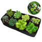 🌱 PROMOTION LIMITÉE À -50 % ! ✨ Sac de culture compartimenté pour plantes – Respirant, Drainant, Grilles personnalisables 🪴