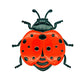 🐝 OFFRE LIMITÉE À -50 % ! ✨ Décorations murales 3D d’insectes – Abeille, Papillon, Coccinelle – Résistantes aux intempéries