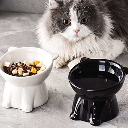 📢📢50 % DE RÉDUCTION !! ⏰ Gamelle haute en céramique ergonomique pour chat