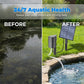 🌱50% OFF NOW ! ☀️Solar Powered Pond Aerator Air Pump – wire-free easy installation, energy-saving oxygen supply, outdoor fish pond water circulation, garden koi tank essential!
