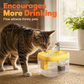 📢📢60% OFF !! ⏰Silent Pet Drinking Dispenser with Food-Grade PET Bowl