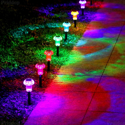 Solar Powered Garden Lights for Outdoor Pathways