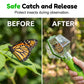 ⏳🔥LIMITED-TIME 50% OFF! ⏰🐞 Interactive Bug Catcher for Kids – Clear Observation, Catch & Release 🌱