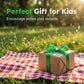 ⏳🔥LIMITED-TIME 50% OFF! ⏰🐞 Interactive Bug Catcher for Kids – Clear Observation, Catch & Release 🌱