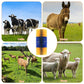 ⏳Limited time – 50% OFF⏰Livestock Full Massage Grooming Scratching Brush