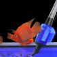 ⏳Limited time – 50% OFF⏰Electric Suction Aquarium Water Changer Filter Cleaner
