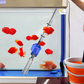 ⏳Limited time – 50% OFF⏰Electric Suction Aquarium Water Changer Filter Cleaner
