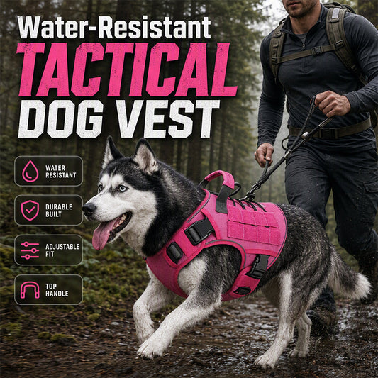 ⏳🔥LIMITED-TIME 50% OFF! ⏰🐕 Durable Oxford Fabric Dog Harness Vest – Safe, Adjustable, Comfortable 🥾✨