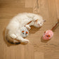 ⏳🔥LIMITED-TIME 50% OFF! ⏰🐭Smart Electric Mouse Cat Toy｜Automatic Moving Interactive Toy For Indoor Cats 🐱
