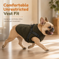⏳🔥LIMITED-TIME 50% OFF! ⏰Warm Winter Dog Coat with Reflective Strips and Harness for Small and Medium Dogs🐶❄️