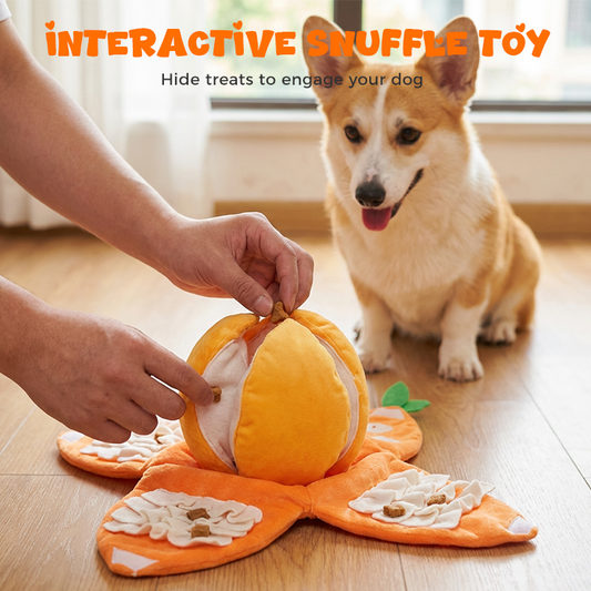⏳🔥LIMITED-TIME 50% OFF! ⏰Hide & Seek Orange Plush Dog Toy