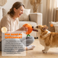 ⏳🔥LIMITED-TIME 50% OFF! ⏰Hide & Seek Orange Plush Dog Toy