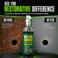 ⏳🔥LIMITED-TIME 50% OFF! ⏰🔧 3-in-1 Rust Remover & Phosphating Agent — Degrease, Remove & Prevent 💨