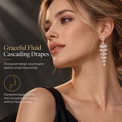 ⏳🔥LIMITED-TIME 50% OFF! ⏰💎 S925 Sterling Silver Micro Pave Zircon Fan-Shaped Earrings – Elegant Sparkle for Every Occasion ✨